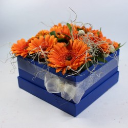 Kvetinová krabička pre zaľúbených / modrá